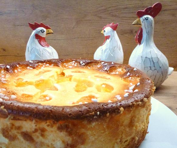 Mandarinen-Schmand-Kuchen