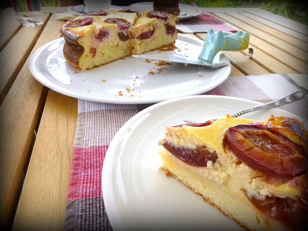 Käsekuchen mit Zwetschgen