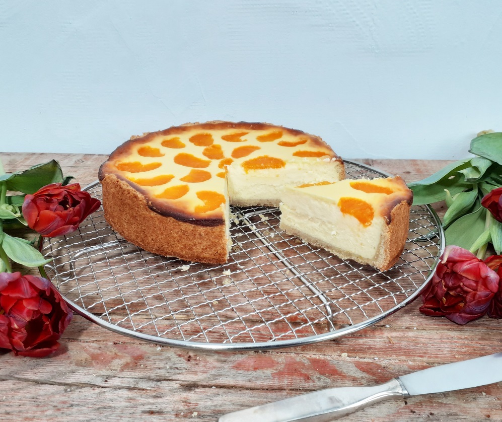 Käsekuchen mit Mandarinen