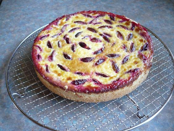 Zwetschgenkuchen mit Rahmguß